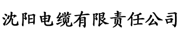 官方导航第一福利电缆厂logo